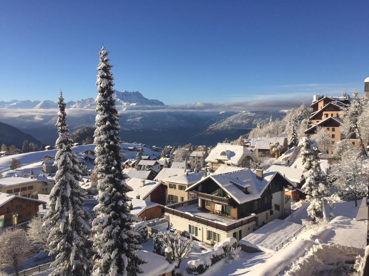 Perle De Leysin Daire Dış mekan fotoğraf